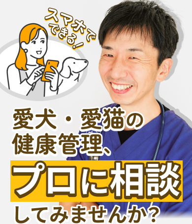 スマホでできる！愛犬の健康管理、プロに相談してみませんか？